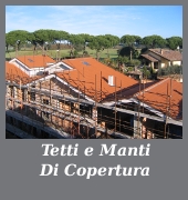 tetti e manti di copertura